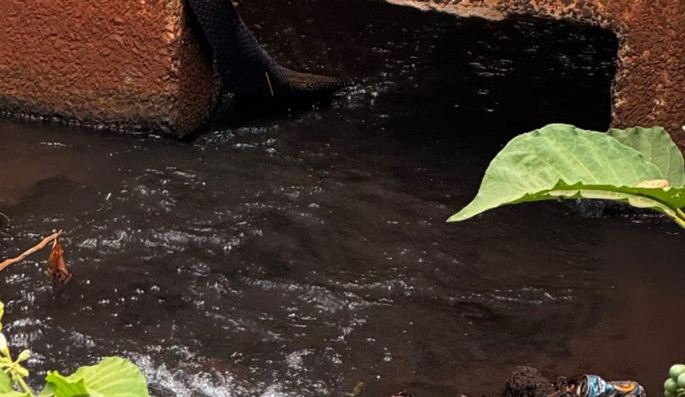 SAEMAS realiza intervenção no Córrego Norte para pesquisa sobre esgoto.